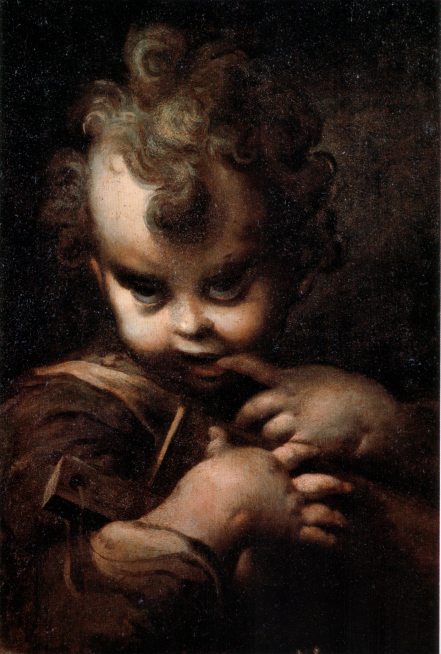 Parmigianino. Fanciullo con abbecedario. 1520-1530. Este pintor