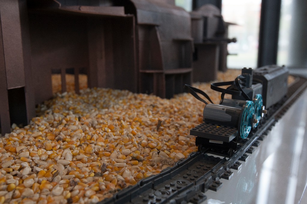 Granos de maíz en exposición de agricultura en México. Foto Cristina Rodríguez