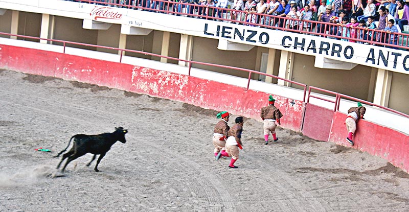 El espectáculo se ha convertido en uno de los mejores dentro de los festejos del 462 aniversario del Real de Minas de Fresnillo ■ foto: susana zacarías