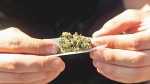 Argentinos marchan para reclamar despenalizaci—n del consumo de drogas
