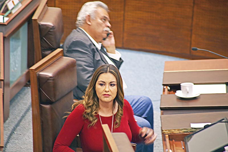 Geovanna Bañuelos de la Torre, en la sesión ordinaria celebrada este martes por la 62 Legislatura ■ foto: andrés sánchez