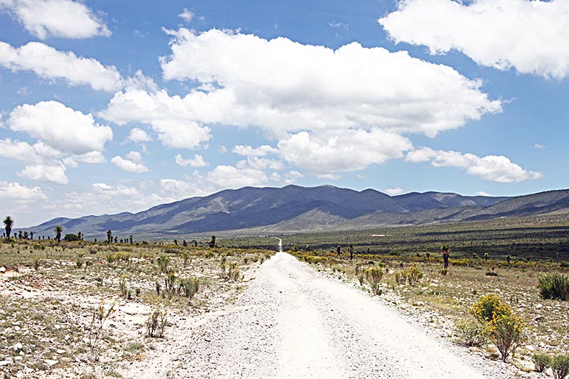 Se busca que miles de hectáreas del semidesierto zacatecano se declaren Área Natural Protegida; empresarios mineros se oponen ■ foto: andrés sánchez