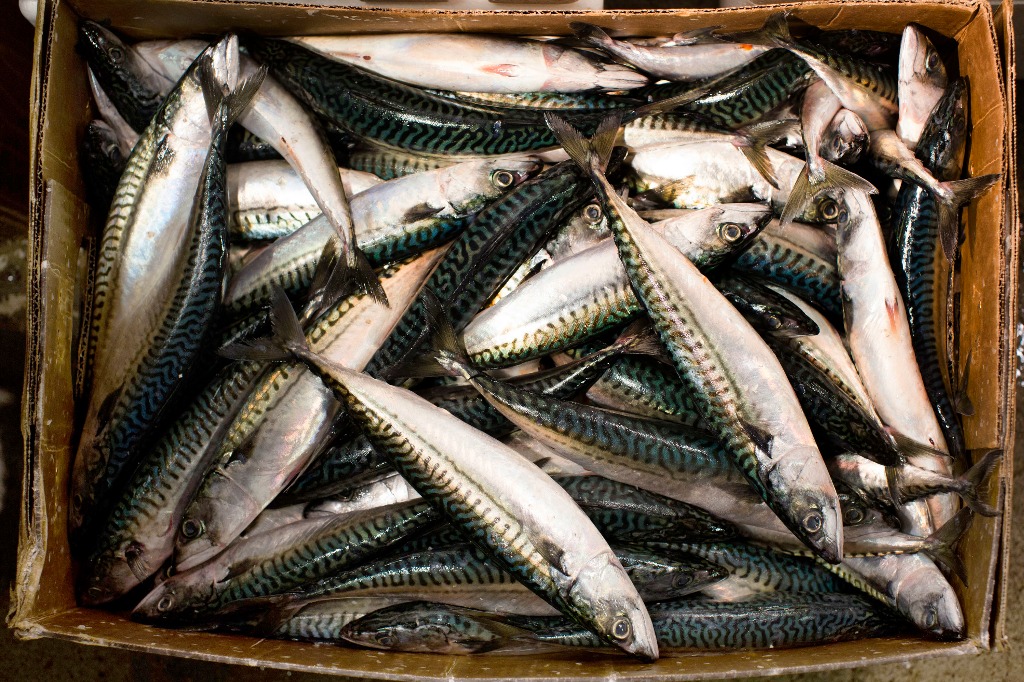 El pescado contiene ácidos grasos omega-3. Foto Ap