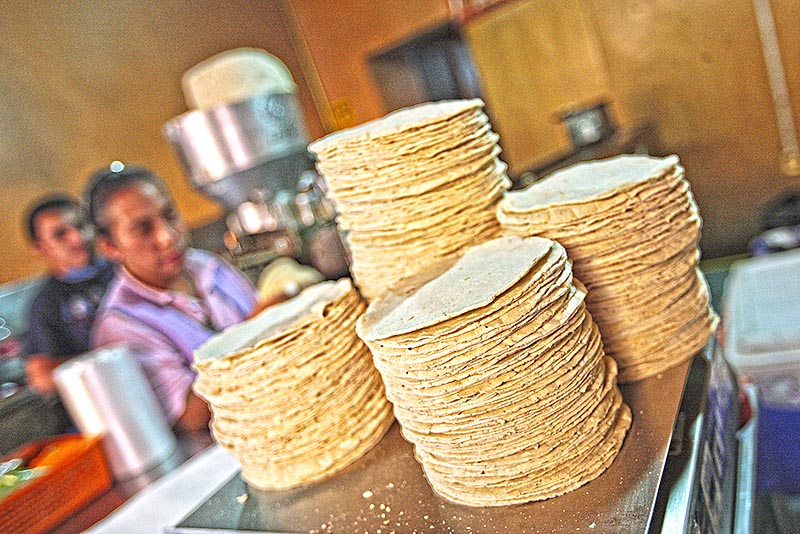 Productos como las tortillas y los derivados de la harina sí sufrirán un incremento en su costo ■ foto: ernesto moreno