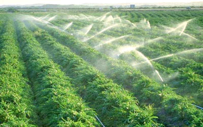 La secretaría se enfocará en la reutilización del agua tratada en la agricultura y en el sector industrial ■ foto: la jornada zacatecas