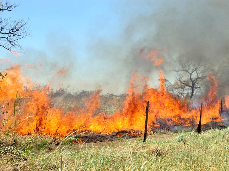 El documento busca atender cualquier contingencia en aquellas zonas de la geografía estatal donde pudieran registrarse incendios forestales ■ foto: la jornada zacatecas