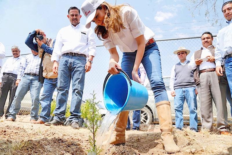 La presidenta honorífica del DIF Estatal Zacatecas, Cristina Rodríguez, participó en la limpieza y reforestación de la Unidad Deportiva del municipio ■ foto: LA JORNADA ZACATECAS