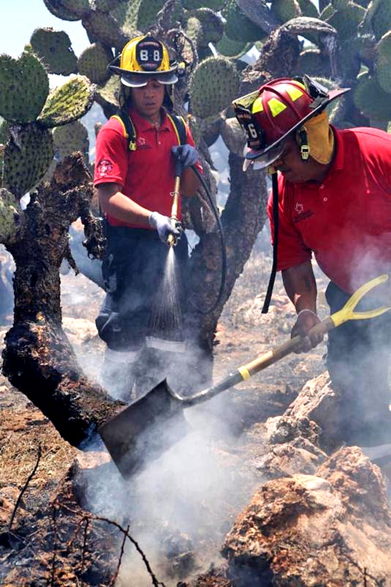 Elementos de Protección Civil estatal con apoyo de otras corporaciones han sofocado un sinnúmero de incendios ■ foto: la jornada zacatecas