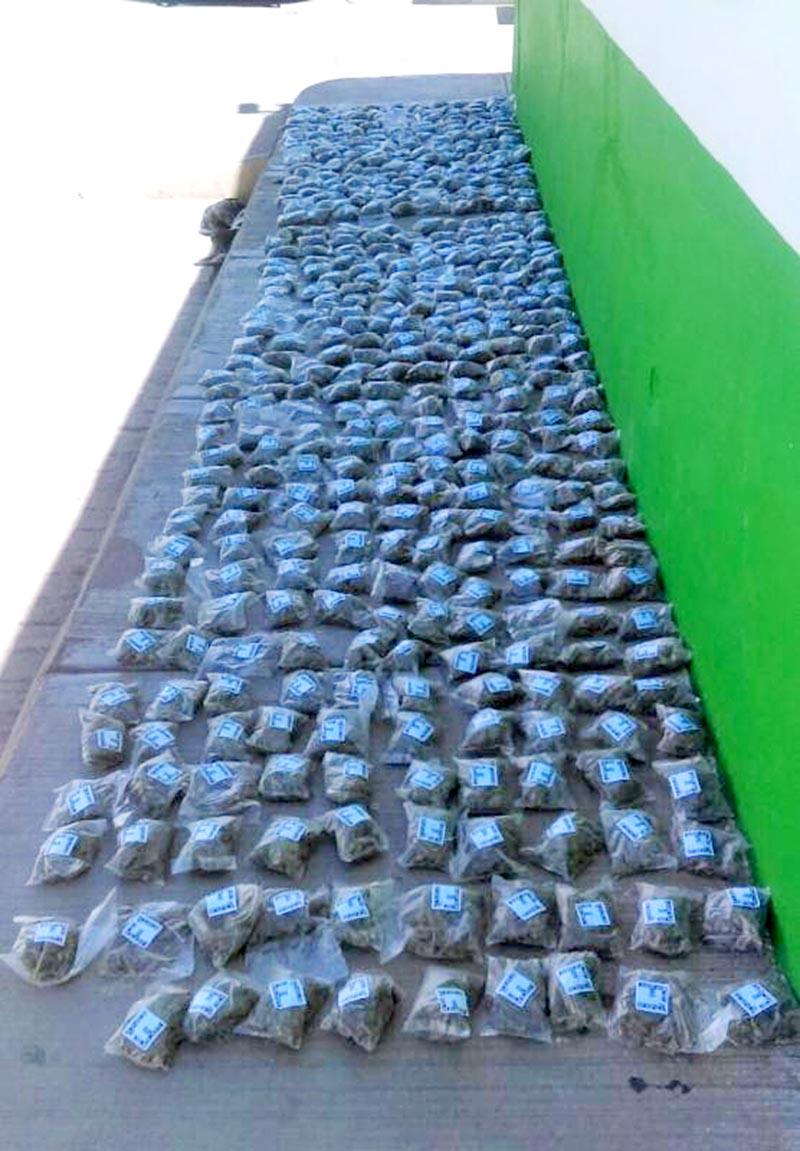Los agentes incautaron 479 bolsas pequeñas, que al parecer contienen mariguana ■ FOTO: LA JORNADA ZACATECAS