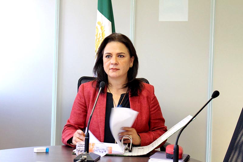 Norma Julieta del Río Venegas, comisionada presidenta n foto: la jornada zacatecas