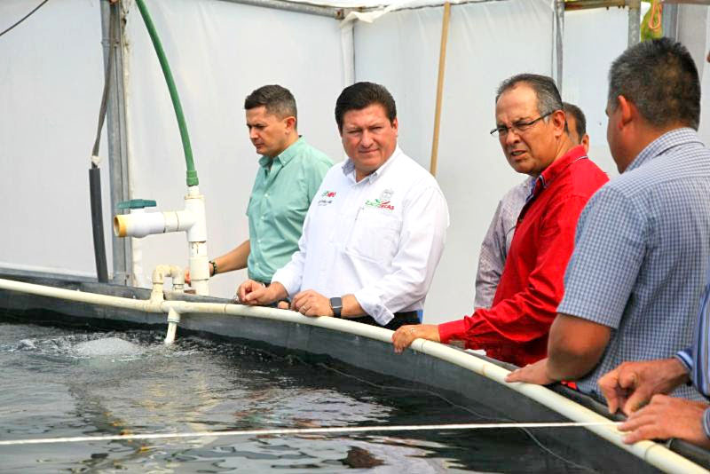 Sagarpa otorga financiamiento para avanzar en la tecnificación del agro zacatecano, dijo Adolfo Bonilla ■ FOTO: LA JORNADA ZACATECAS