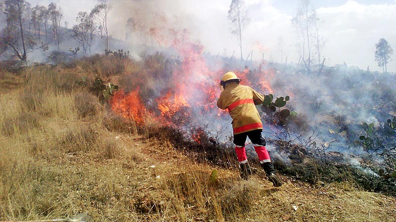 Elementos de Protección Civil del estado y del municipio de Zacatecas, sofocaron cerca de 2 hectáreas que se incendiaron en el Cerro del Padre ■ FOTO: CORTESÍA PC