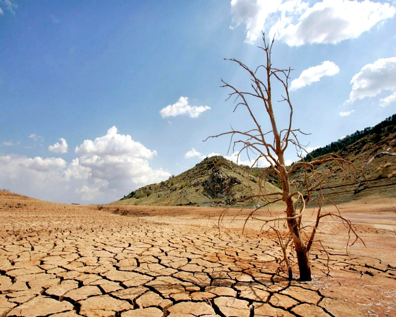 Se tomarán medidas estratégicas para evitar que el fenómeno de la desertificación se expanda, señalaron ■ FOTO: LA JORNADA ZACATECAS