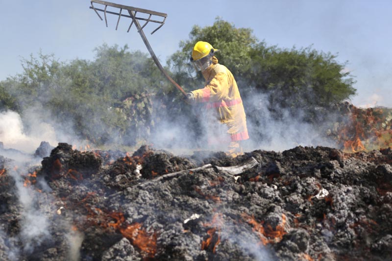 Este jueves autoridades estatales y federales incineraron toneladas de diversas drogas n foto: La Jornada Zacatecas