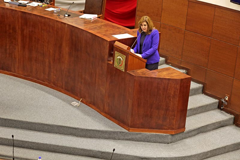 Este martes, Fabiola Torres Rodríguez compareció ante los diputados n foto: andrés sánchez