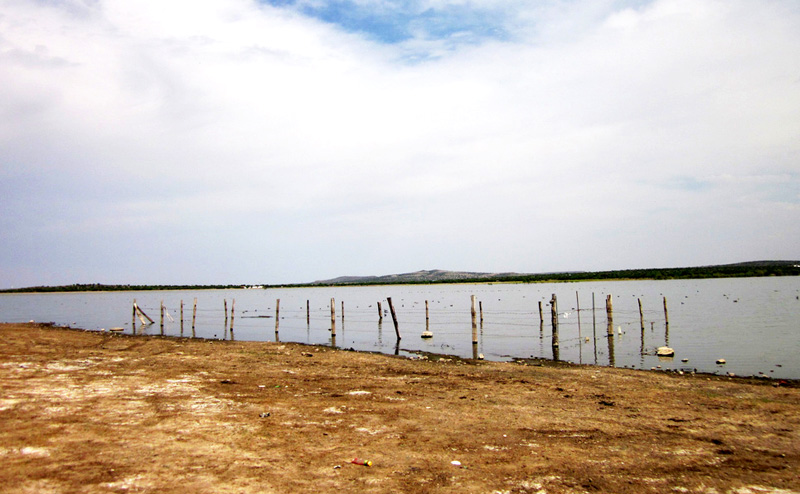 En la imagen, presa de La Zacatecana, en el municipio de Guadalupe ■ FOTO: CONACYT