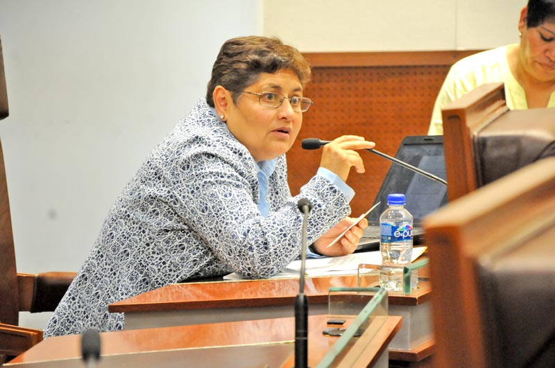 La legisladora por el PRD, María Elena Ortega ■ FOTO: LA JORNADA ZACATECAS