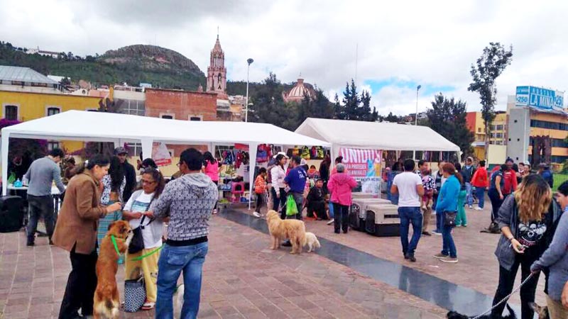 El evento se desarrolló en la Plaza Bicentenario n foto: la jornada zacatecas