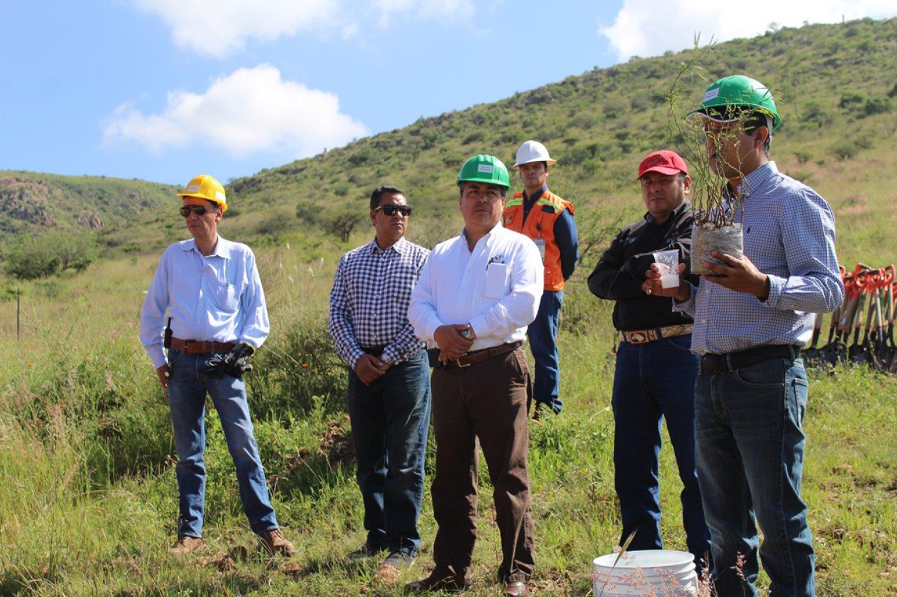 Autoridades federales y locales acudieron al sitio que será reforestado ■ FOTO: LA JORNADA ZACATECAS