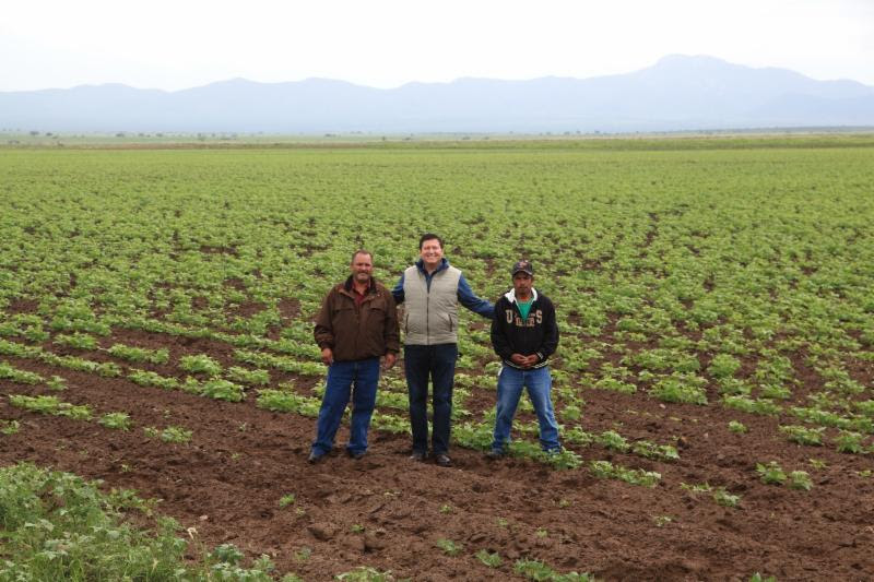 Secampo, Sagarpa y Aseca revisarán cuántas hectáreas fueron sembradas ■ FOTO: LA JORNADA ZACATECAS