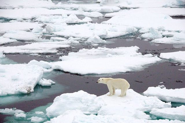 Reconocidos científicos han advertido el acelerado deshielo que se registra en el Ártico; lo atribuyen fundamentalmente al cambio climático n foto: la jornada