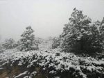 IMG-20191221-WA0038