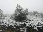 IMG-20191221-WA0039