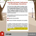 Infografía_Multas en Guadalupe