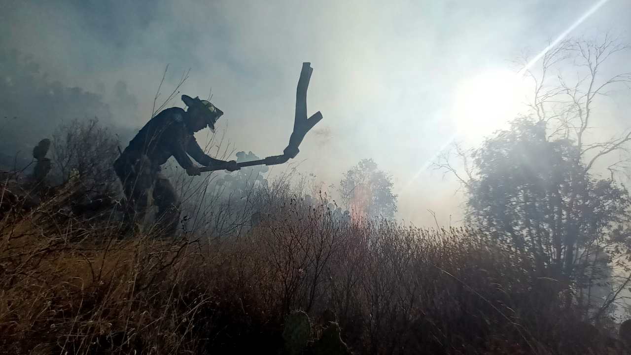 Será un año difícil en tema de incendios forestales: Estado PC