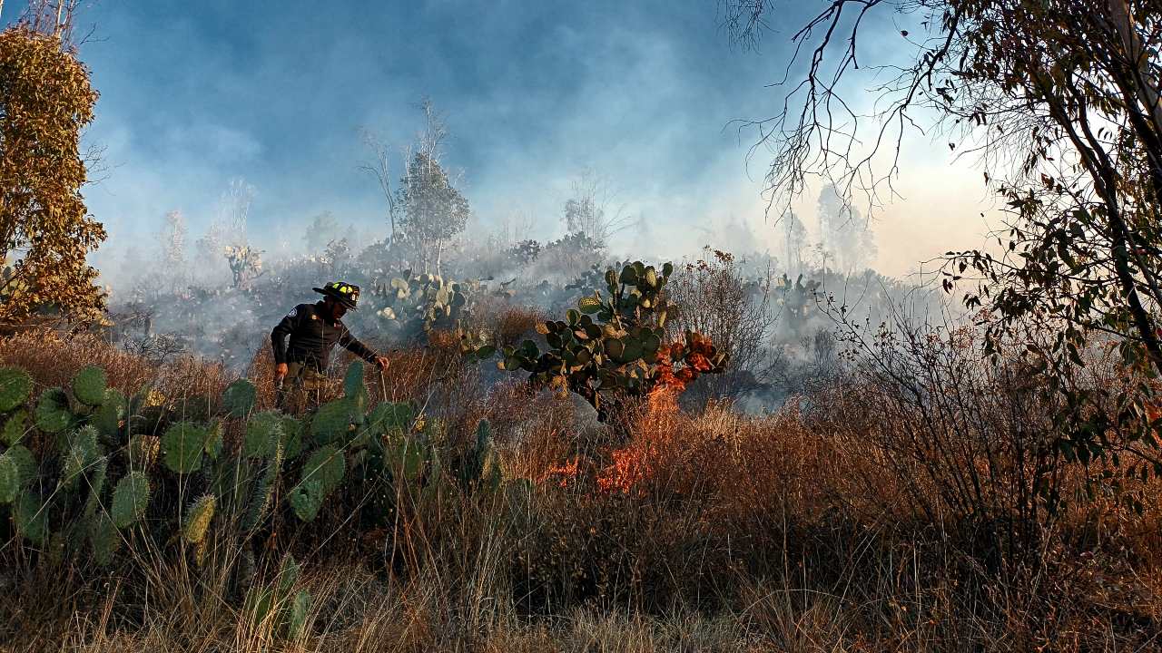 Zacatecas, entre las cuatro entidades con más área quemada por incendios: PC