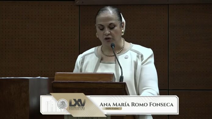 También se discutió la reforma a la Ley Orgánica del Poder Legislativo y la Ley de los Derechos de Niñas, Niños y Adolescentes para incluir el ciberbullying. Foto: Cortesía