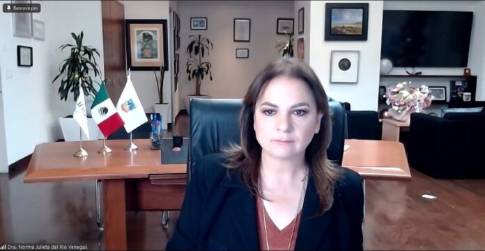 La comisionada del INAI participó en el panel “Fiscalización y combate a la corrupción", donde dijo que México cuenta con los Sistemas Nacionales de Transparencia. Foto: Cortesía