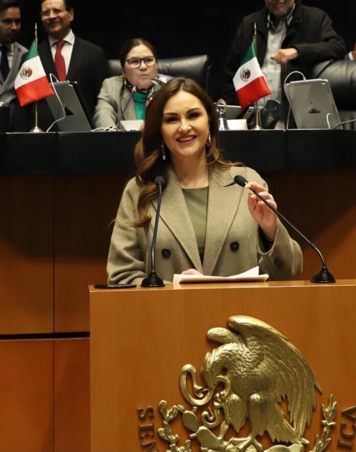 La senadora propuso elevar del 35 al 100% el promedio del sueldo básico de las pensiones por invalidez total o permanente. Foto: Cortesía