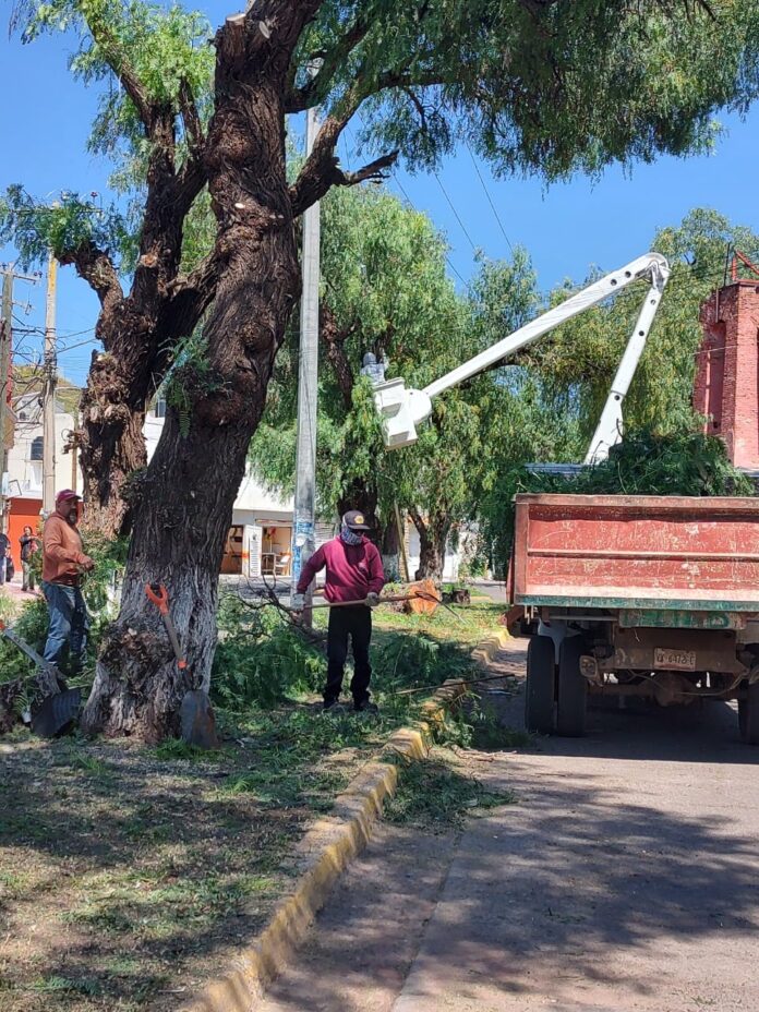 Personal de limpia y alumbrado público, pilares del buen funcionamiento municipal. Foto: Cortesía.