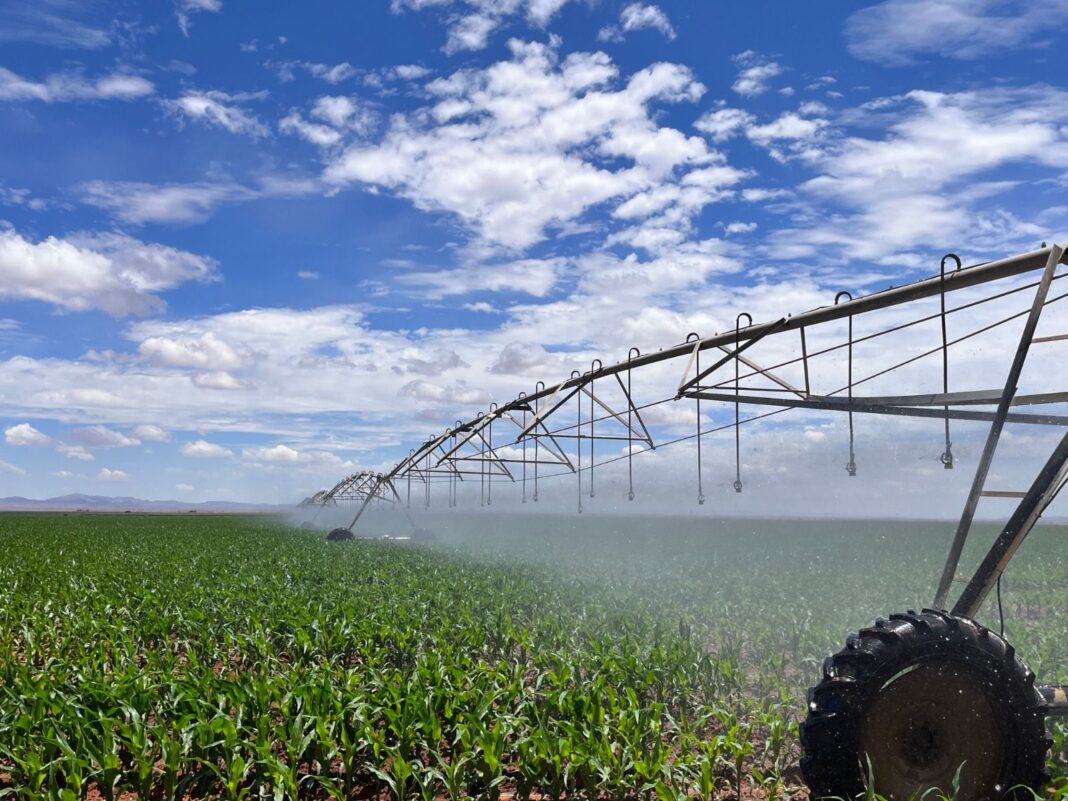 La ventanilla de reinscripción al PEUA estará abierta hasta el 21 de enero de 2025. Foto: Cortesía