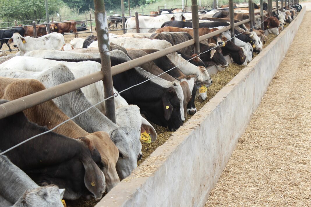 El acuerdo considera los avances científicos y tecnológicos en materia de diagnóstico, seguimiento epidemiológico, control cuarentenario y vigilancia en rastros, reconocidos a nivel nacional e internacional. Foto: Cortesía.