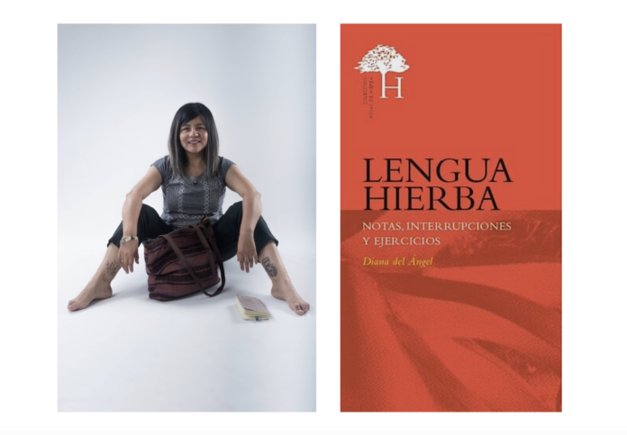 Diana del Ángel, autora de Lengua Hierba. Notas interrupciones y ejercicios.