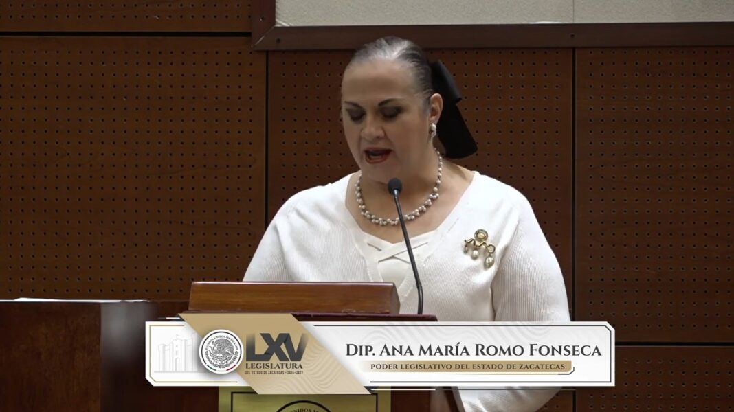 La diputada Ana María Romo Fonseca criticó que no haya participación del Estado para vivienda digna. Foto: Captura de pantalla.