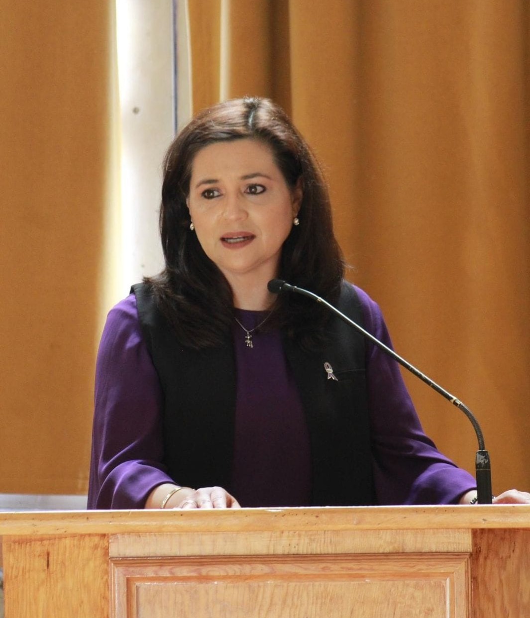 Liliana Vélez Rodríguez precisó que a su oficina le corresponde solamente la prevención de las violencias. Foto: Noti-UAZ.