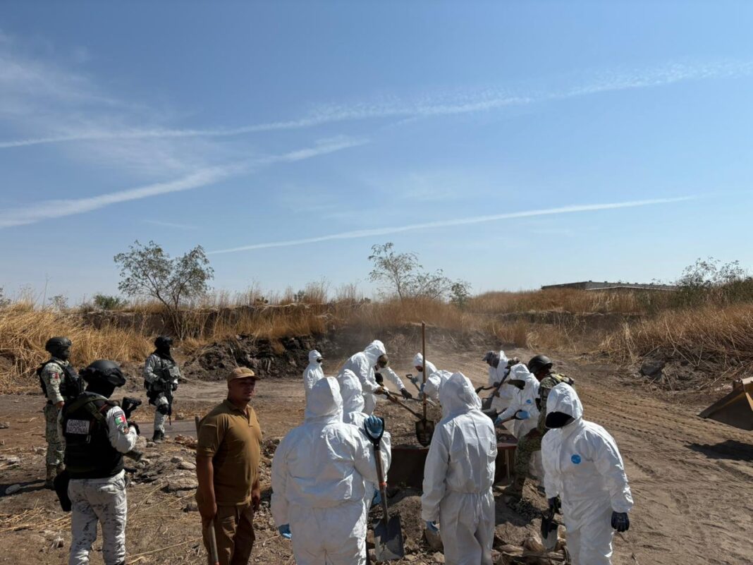 Las autoridades buscan encontrar indicios forenses que les permitan la localización de personas desaparecidas. Foto: Cortesía.