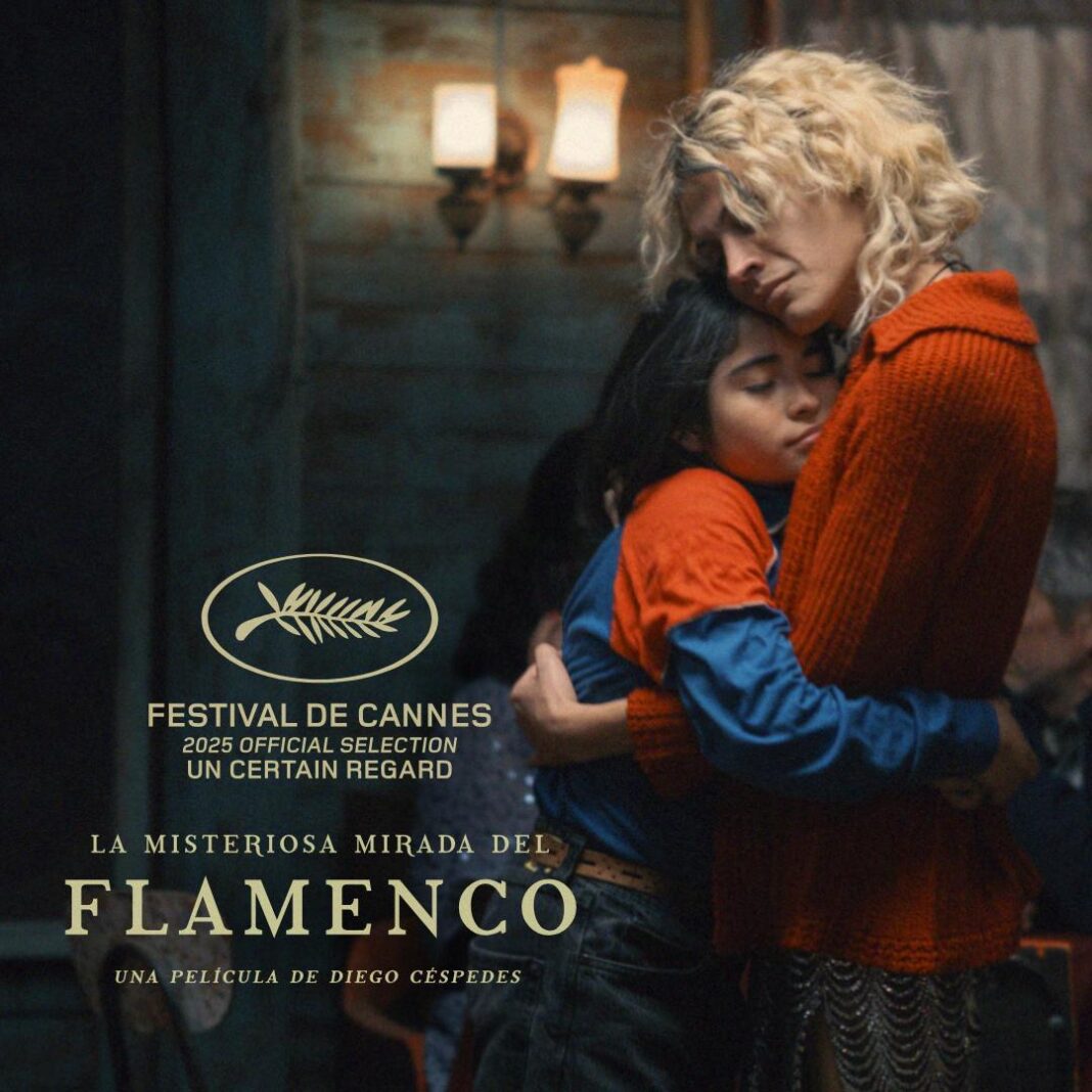 La misteriosa mirada del Flamenco de Diego Céspedes
