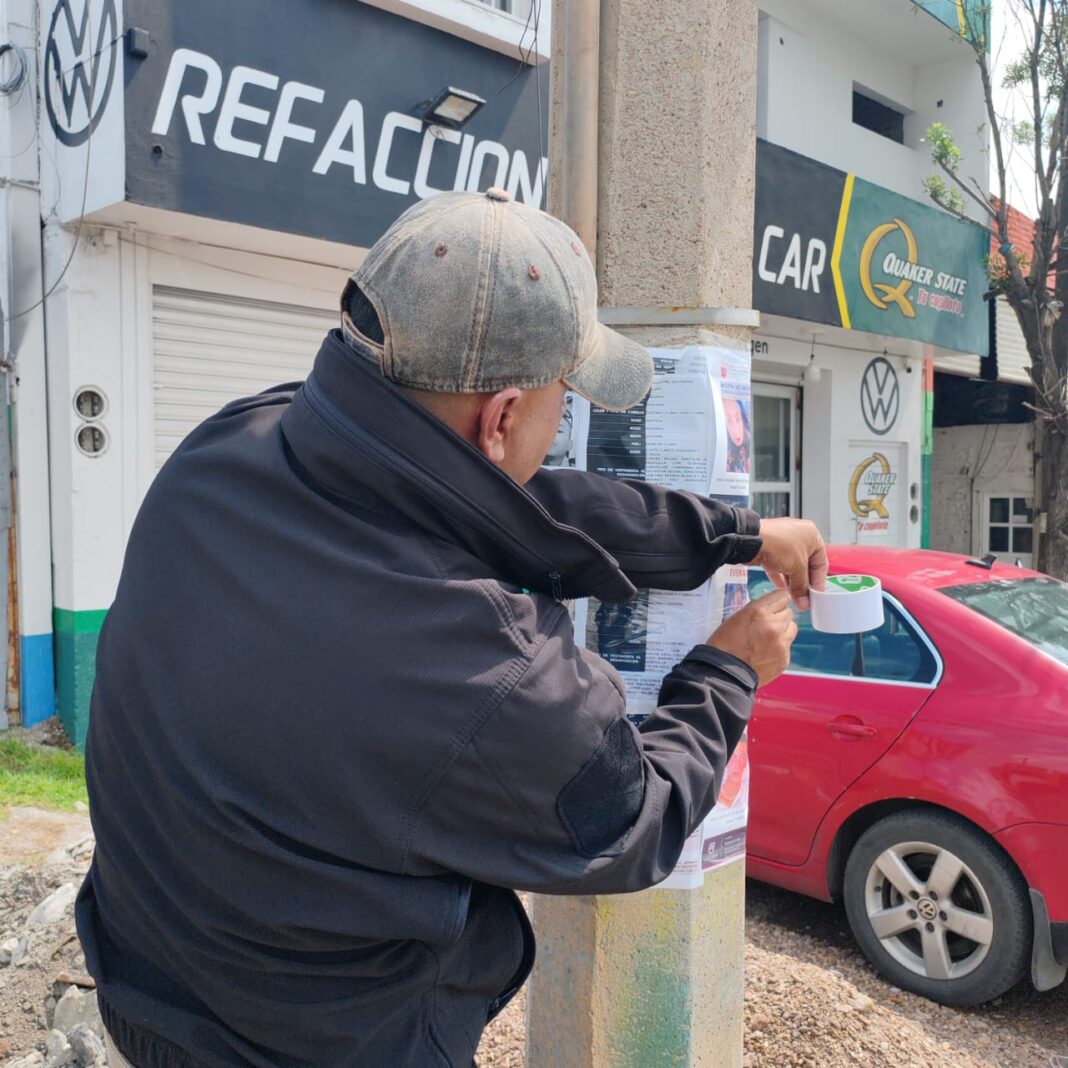Los colectivos realizaron la búsqueda. Foto: Cortesía.