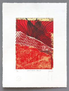 Sedimento falso (false sediment). Ricardo Pinto