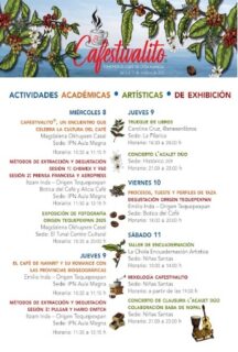 Programa 2025 Cafestivalito