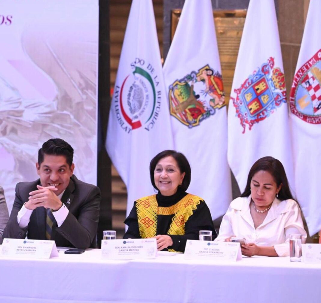 La senadora Amalia García Medina urgió a homologar y fortalecer la legislación en todo el país. Foto: Cortesía.