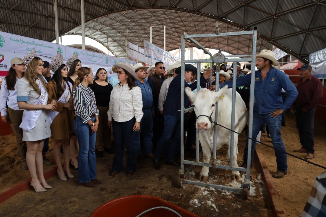 La autoridad contempla la realización de tres expo ferias agropecuarias regionales. Foto: Godezac.