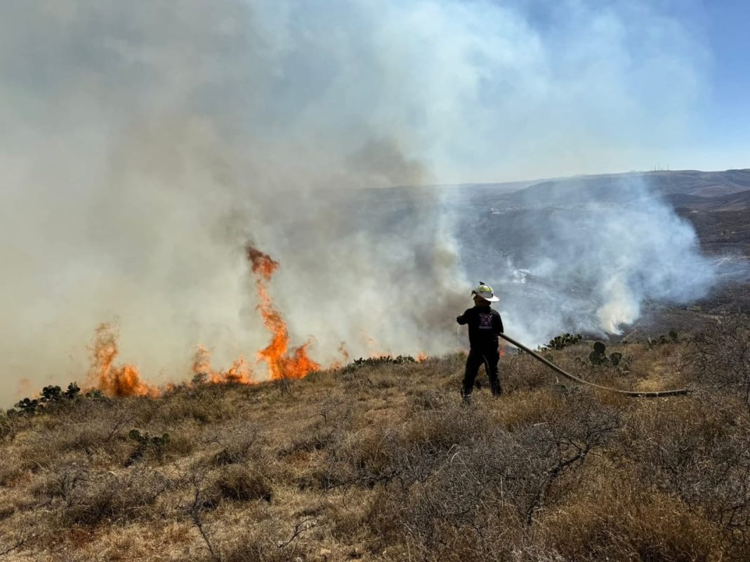El incendio ha avanzado considerablemente debido a las ráfagas de viento registradas en la zona. Foto: Cortesía.