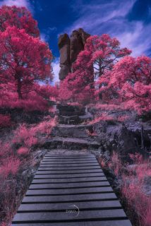 De la Serie Cartografía del asombro_ entre la tierra y el cosmos [exposición fotográfica de Daniel Coronado Contreras _ Da Ko].