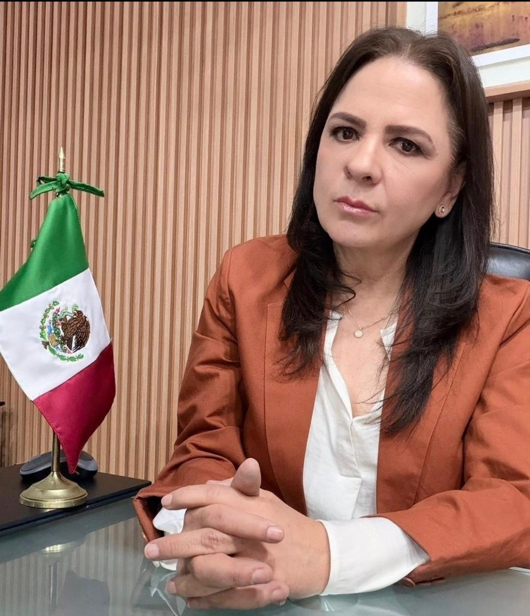 la ex comisionada del INAI, Julieta del Río Venegas