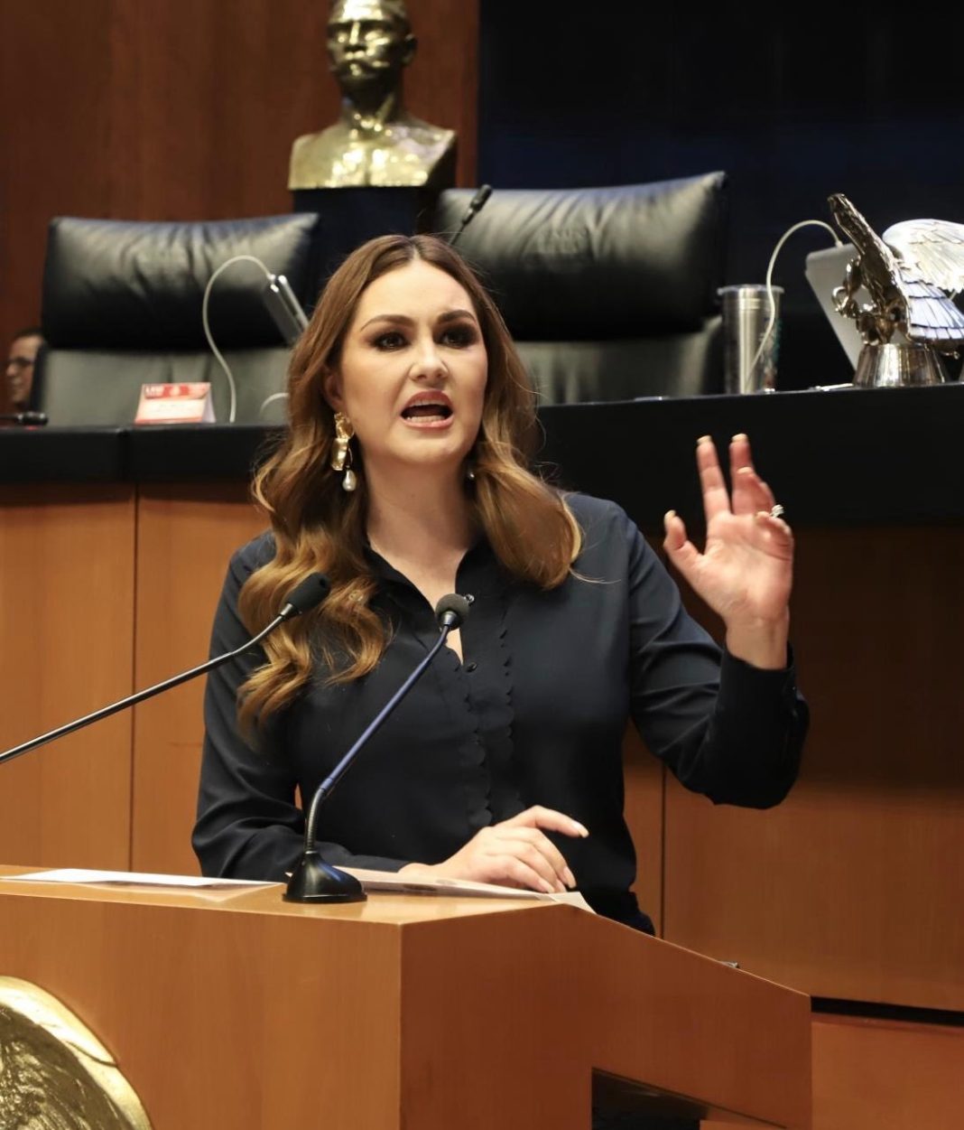 La senadora del PT, Geovanna Bañuelos. Foto: Cortesía.